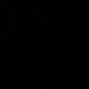 Meet your Posher, Dynasty